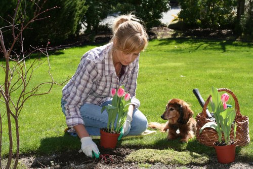 Professional tree pruning service for homes and businesses in Regentspark