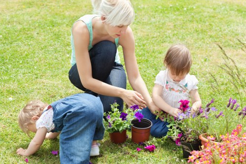 Professional tree inspection and maintenance in a landscaped urban setting