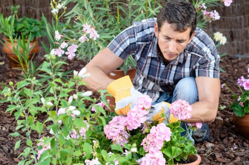 Supplier audit and compliance review for arboricultural services